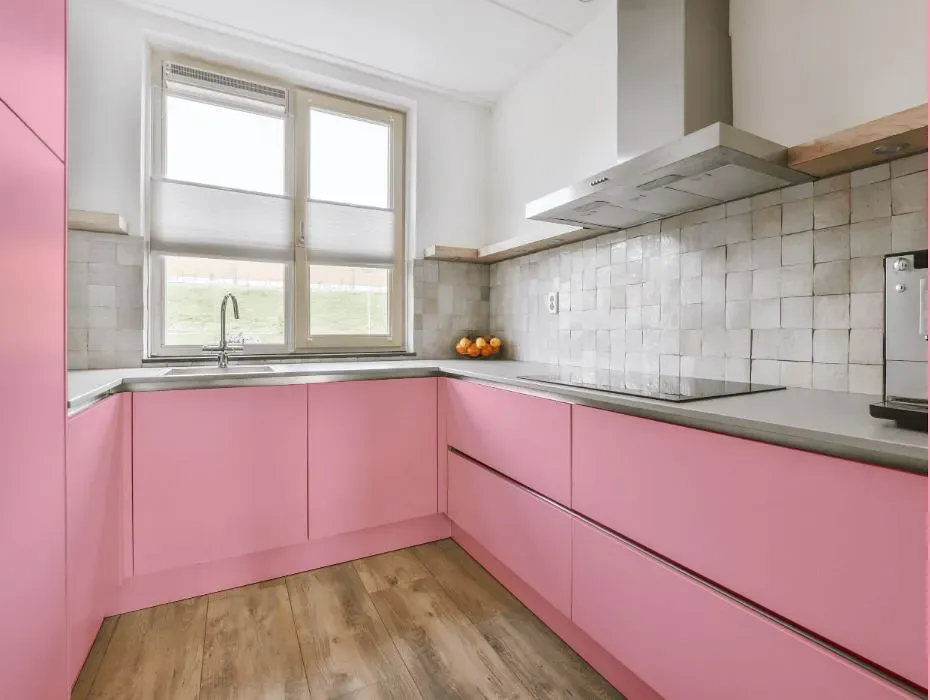 Benjamin Moore Pure Pink small kitchen cabinets