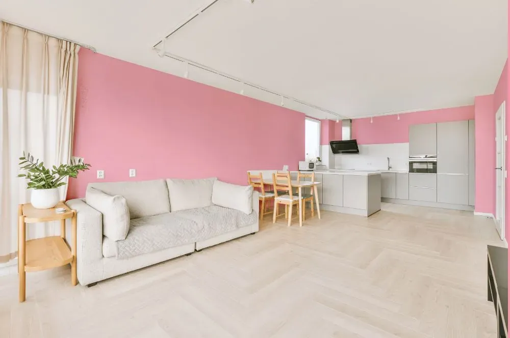 Benjamin Moore Pure Pink living room interior
