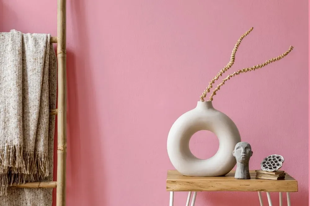 Benjamin Moore Pure Pink wall