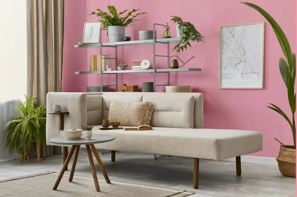 Benjamin Moore Pure Pink living room