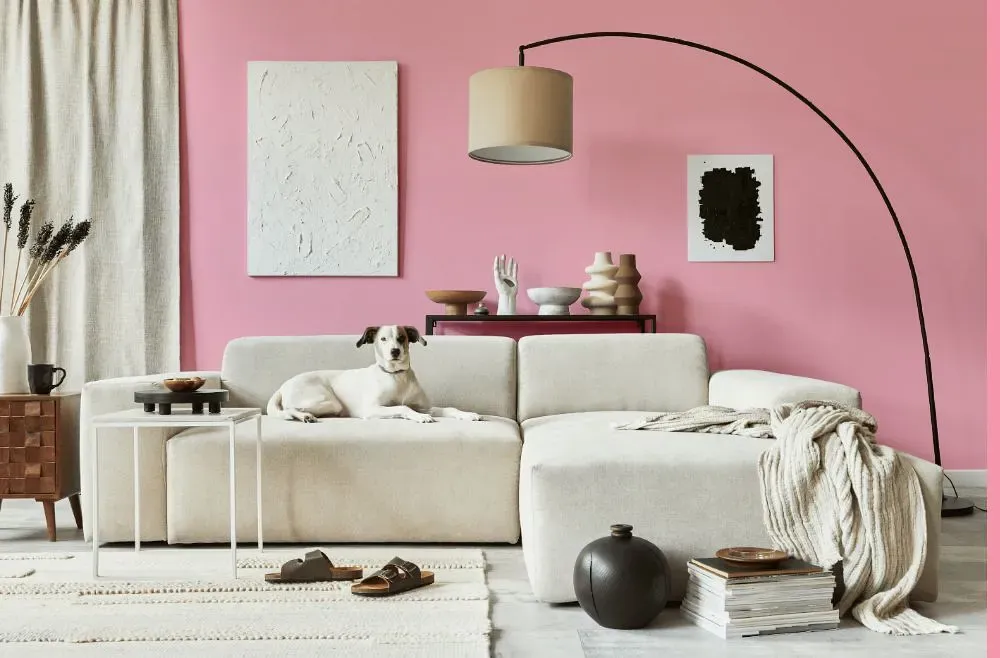 Benjamin Moore Pure Pink cozy living room