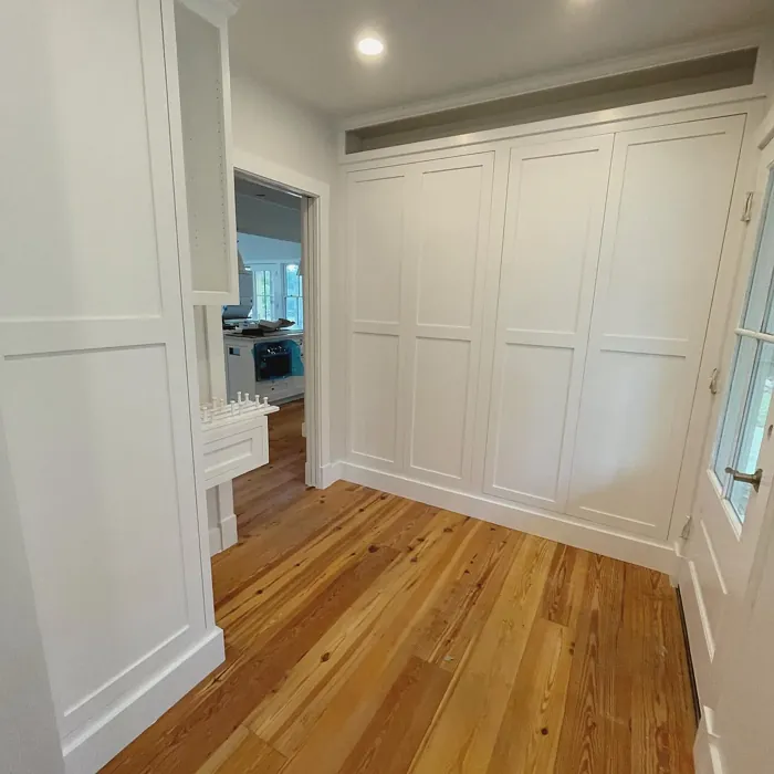 Benjamin Moore Pure White painted cabinets 