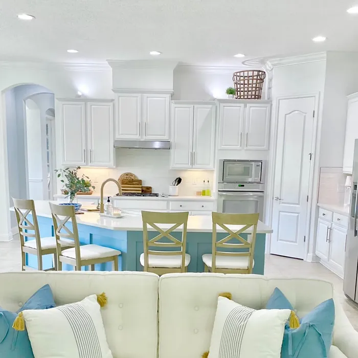 Pure White kitchen cabinets color