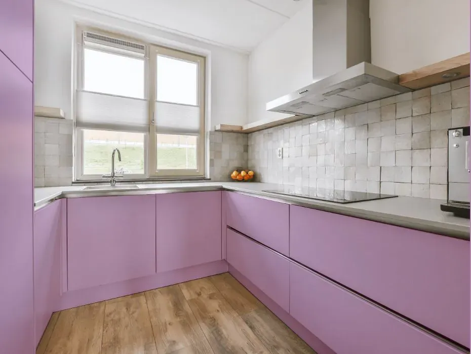 Benjamin Moore Purple Easter Egg small kitchen cabinets