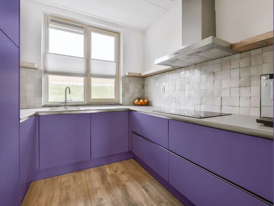 Benjamin Moore Purple Heart small kitchen cabinets