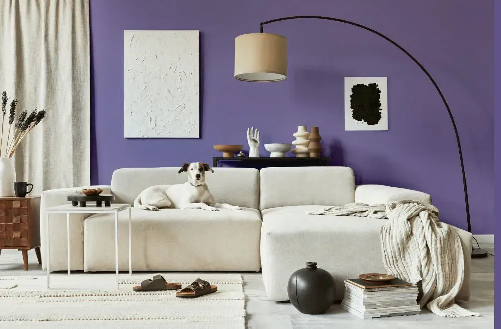 Benjamin Moore Purple Heart cozy living room