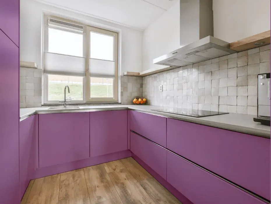 Benjamin Moore Purple Hyacinth small kitchen cabinets
