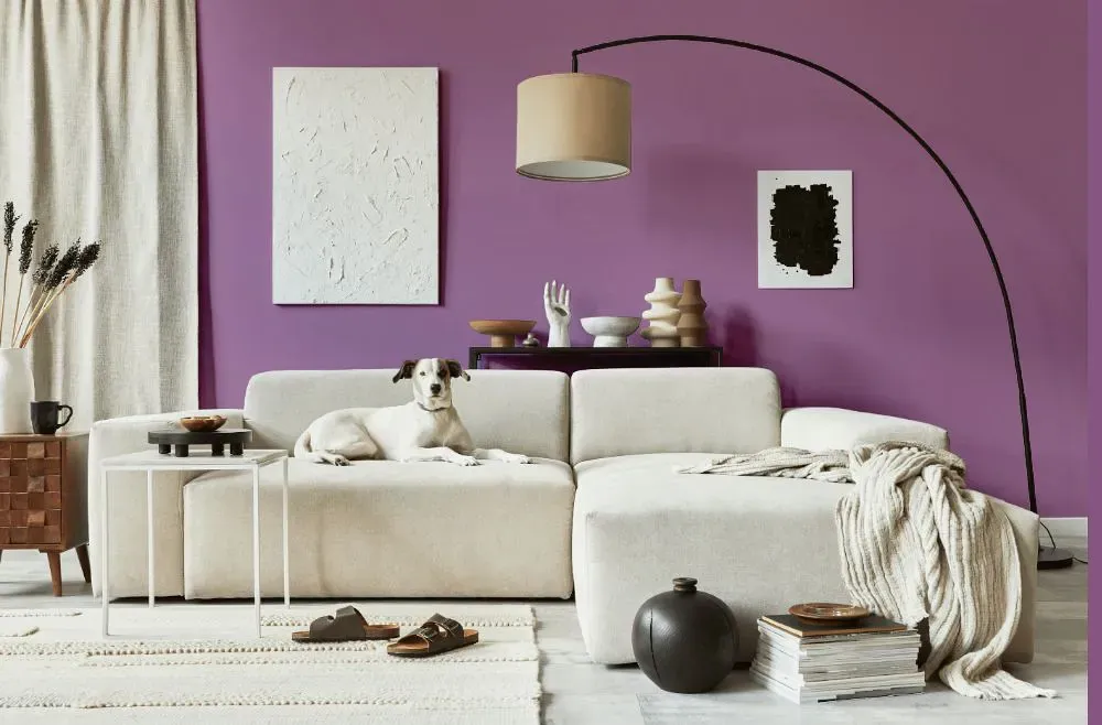 Benjamin Moore Purple Hyacinth cozy living room