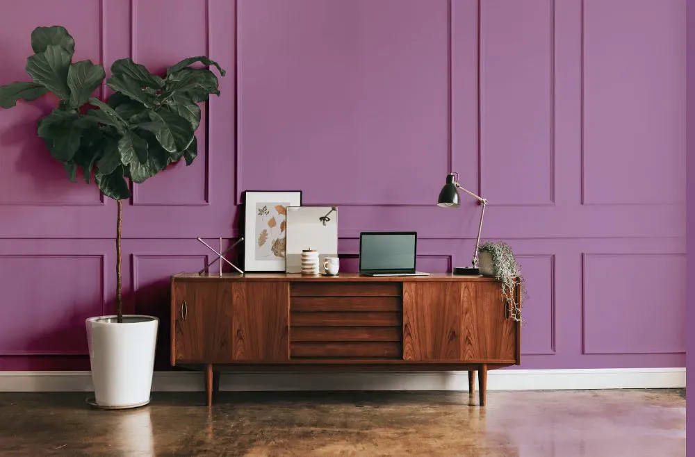 Benjamin Moore Purple Hyacinth modern interior