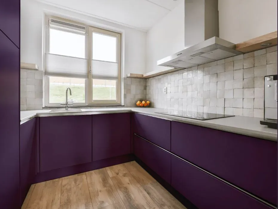 Benjamin Moore Purple Lotus small kitchen cabinets