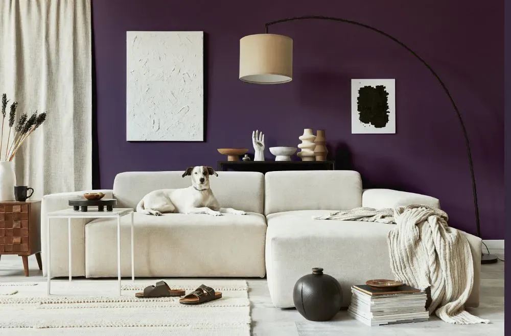 Benjamin Moore Purple Lotus cozy living room