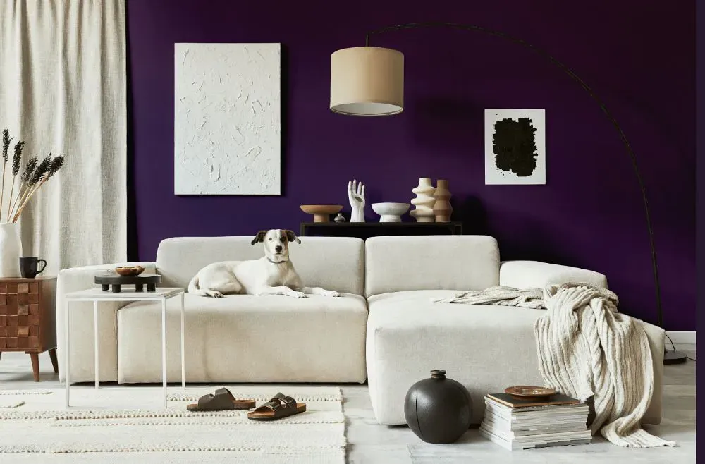 Benjamin Moore Purplicious cozy living room