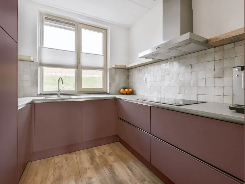 Benjamin Moore Quietly Violet small kitchen cabinets