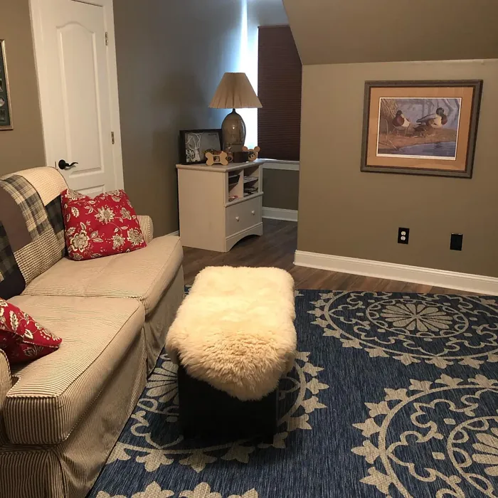 Benjamin Moore Raccoon Hollow living room 