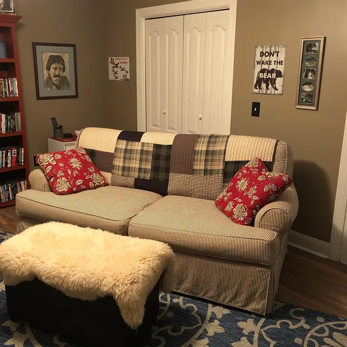 Raccoon Hollow living room 