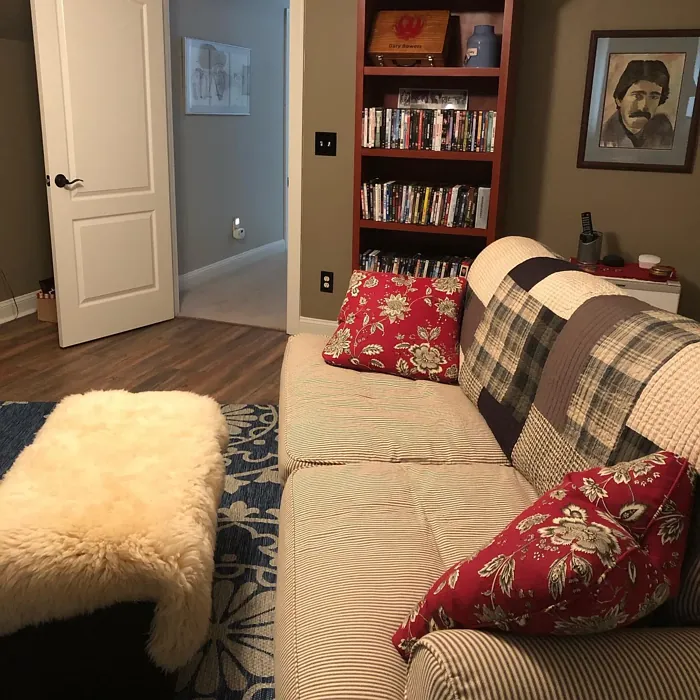 Benjamin Moore Raccoon Hollow living room color