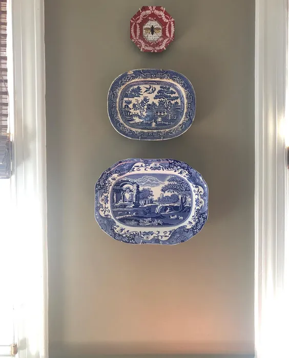 Benjamin Moore Raccoon Hollow dining room color