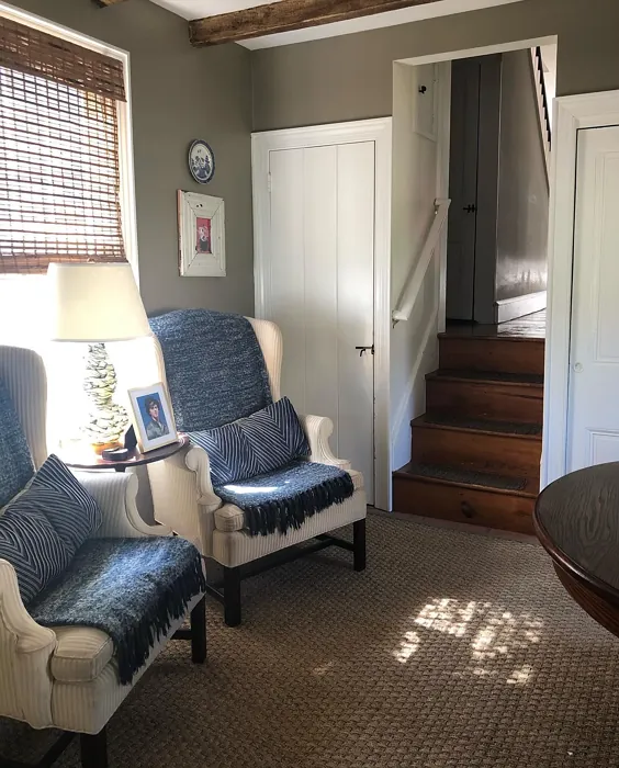 Benjamin Moore Raccoon Hollow dining room paint