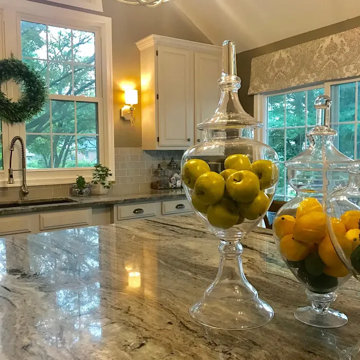 Benjamin Moore Raccoon Hollow kitchen paint