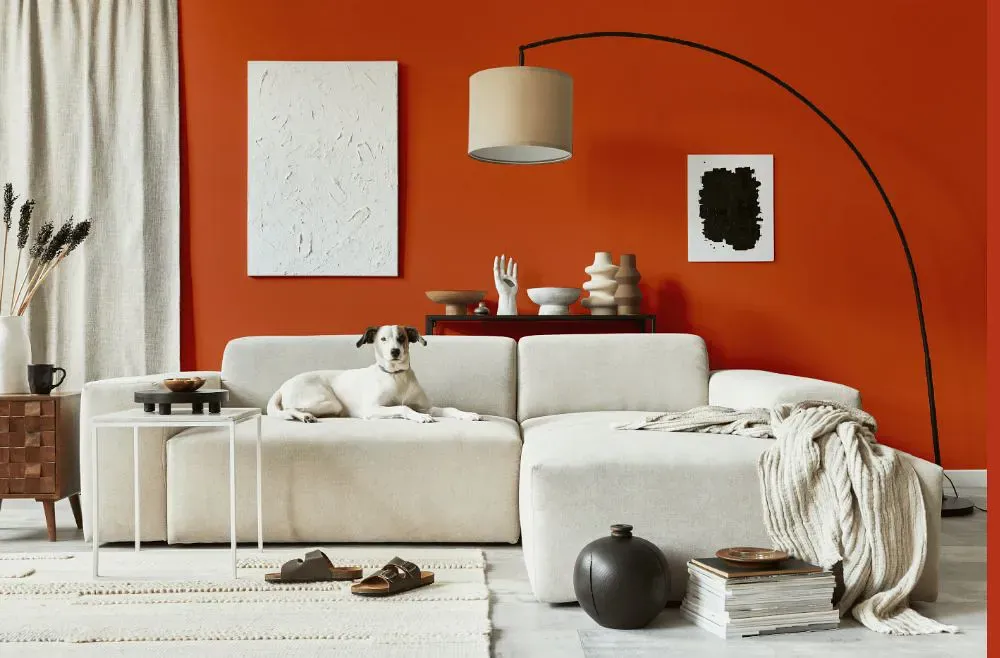 Benjamin Moore Racing Orange cozy living room