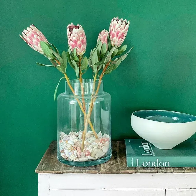 Benjamin Moore Rainforest Foliage wall paint 