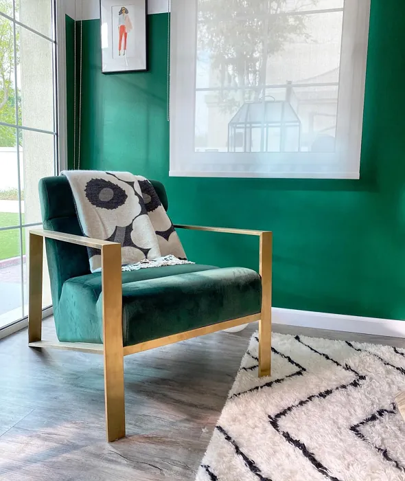 Benjamin Moore Rainforest Foliage wall paint inspiration