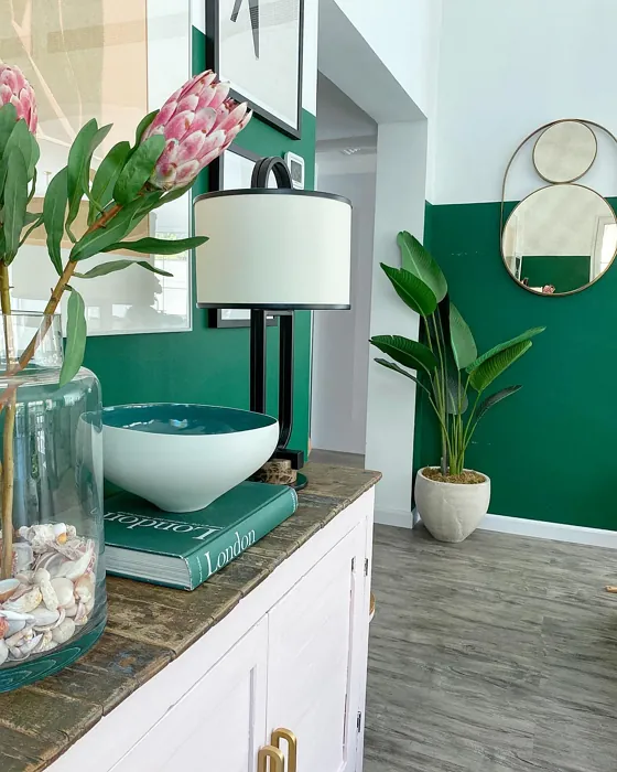 Benjamin Moore Rainforest Foliage living room color-block