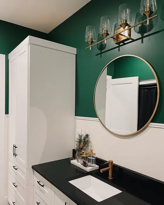 Benjamin Moore Rainforest Foliage bathroom color