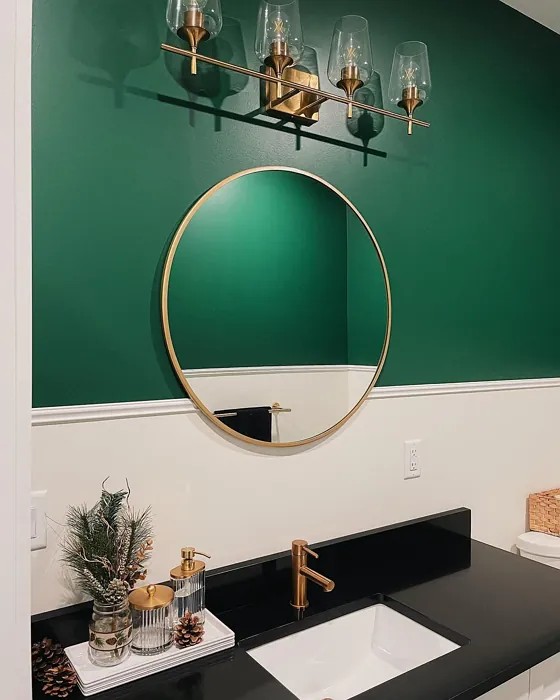 Benjamin Moore Rainforest Foliage bathroom color review