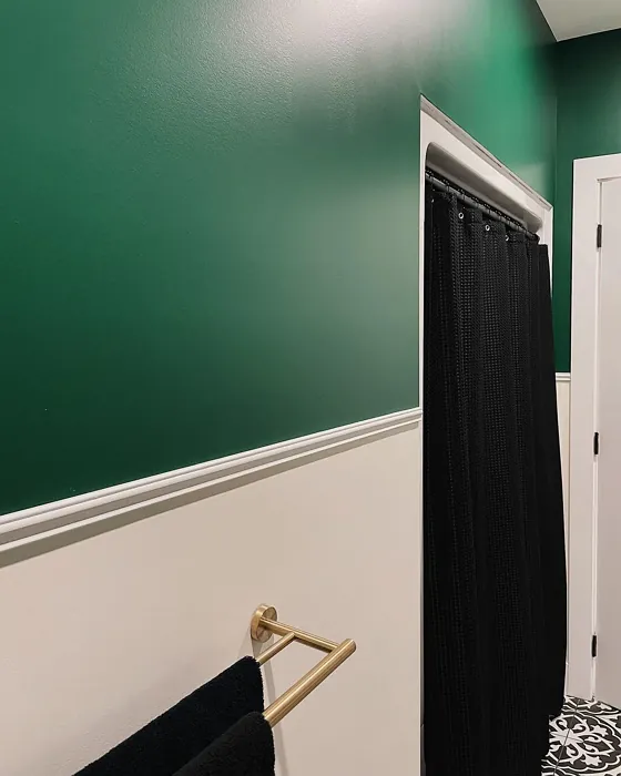 Benjamin Moore Rainforest Foliage bathroom picture