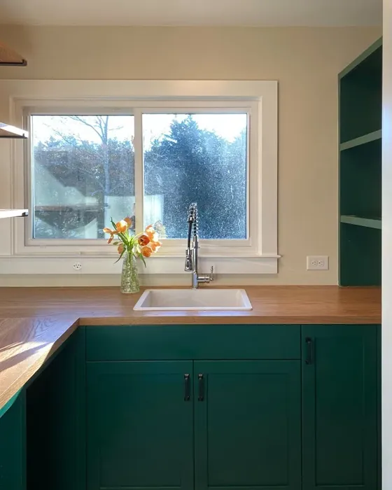 Benjamin Moore Rainforest Foliage kitchen cabinets review