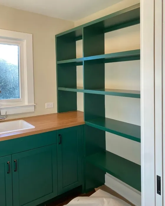 Rainforest Foliage kitchen cabinets review