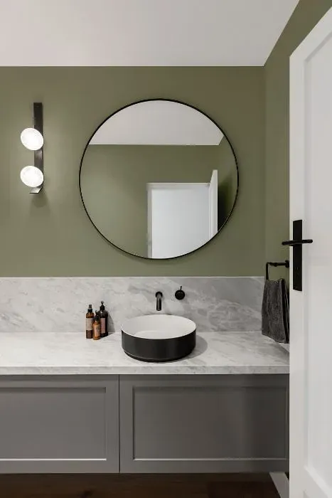 Benjamin Moore Raintree Green minimalist bathroom