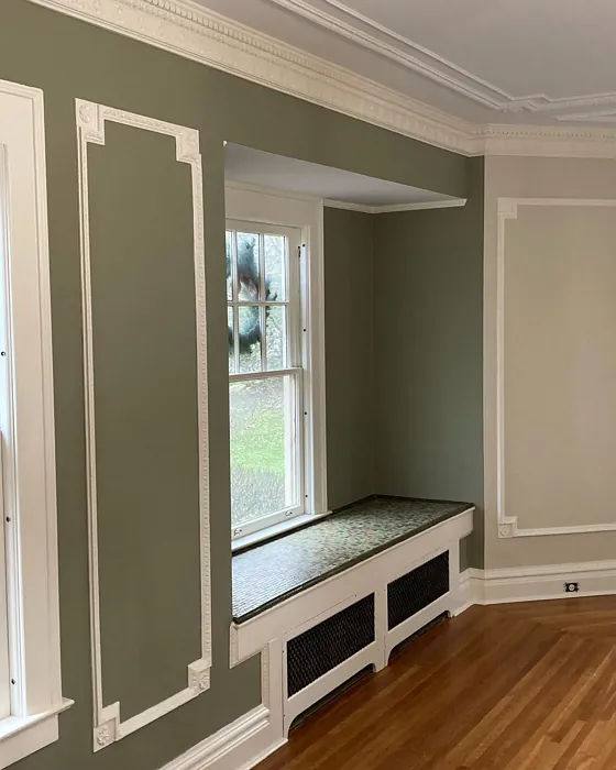 Benjamin Moore Raintree Green accent wall 