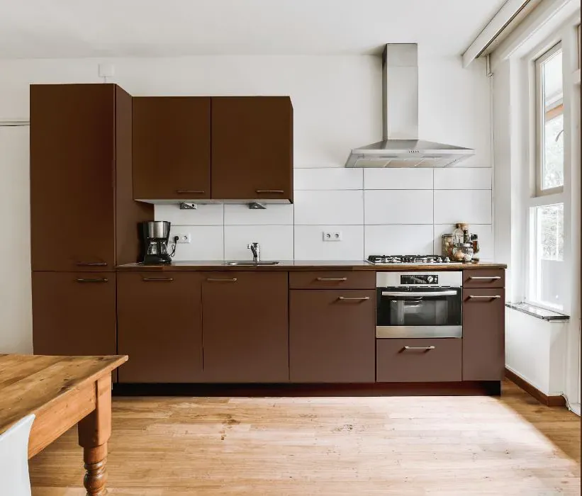 Benjamin Moore Raisin kitchen cabinets