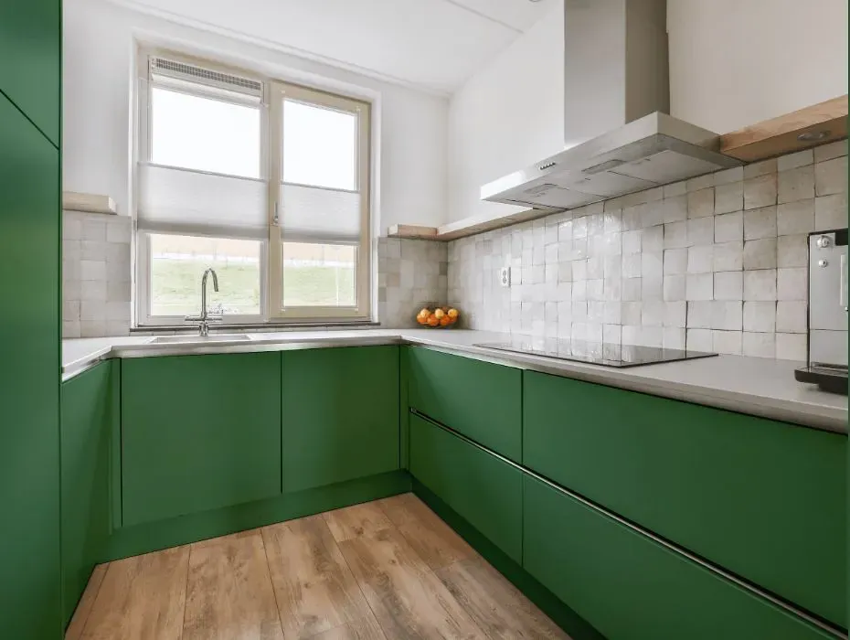Benjamin Moore Raleigh Green small kitchen cabinets