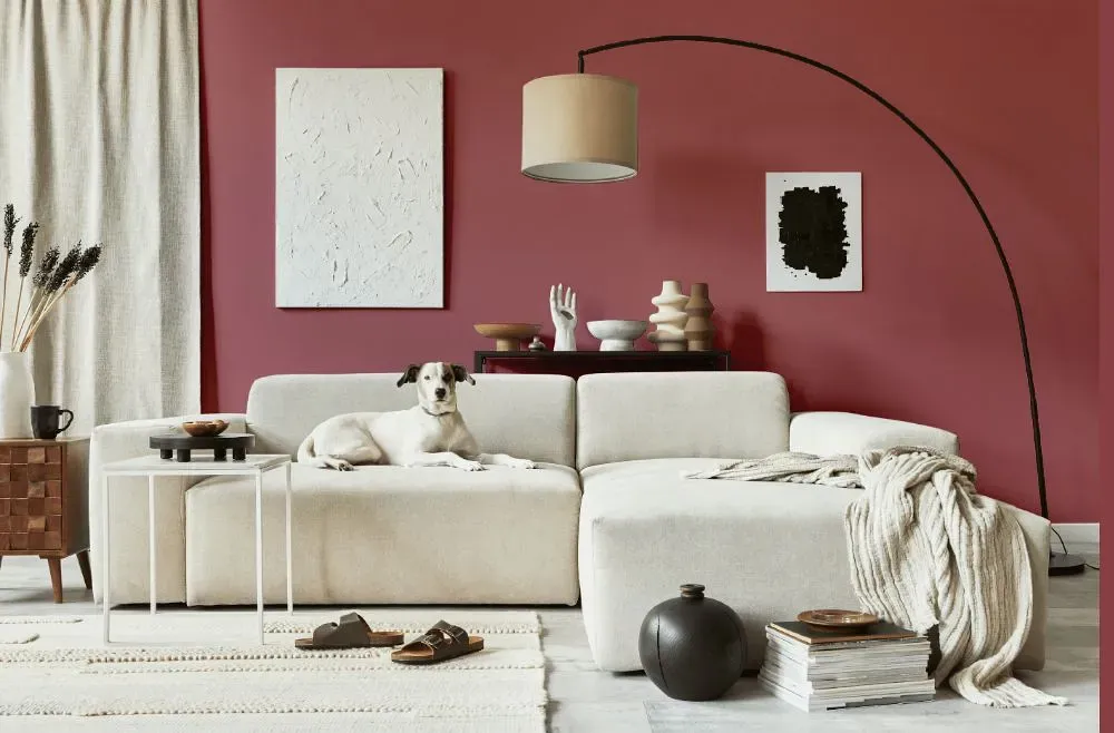 Benjamin Moore Raspberry Glacé cozy living room