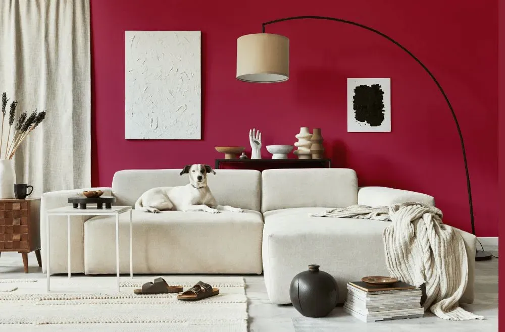 Benjamin Moore Raspberry Glaze cozy living room