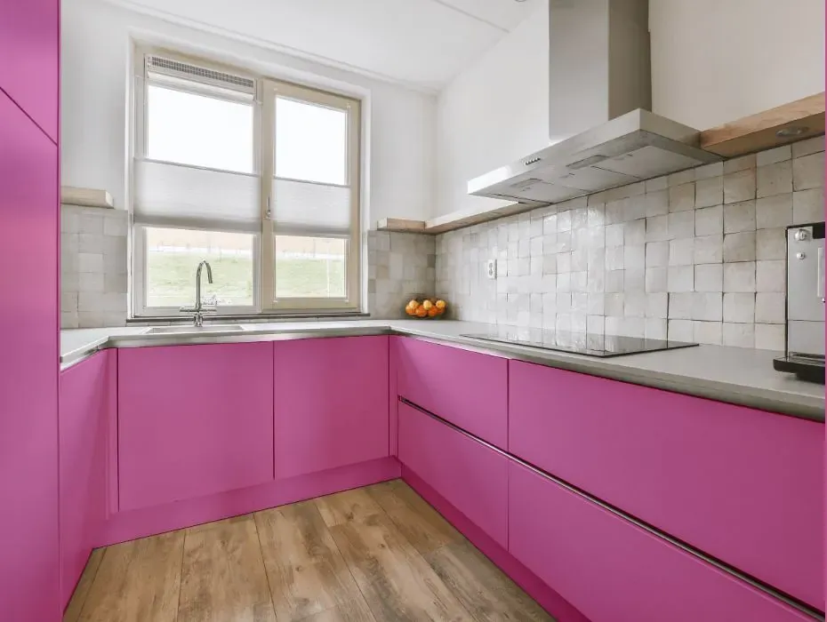 Benjamin Moore Raspberry Mousse small kitchen cabinets