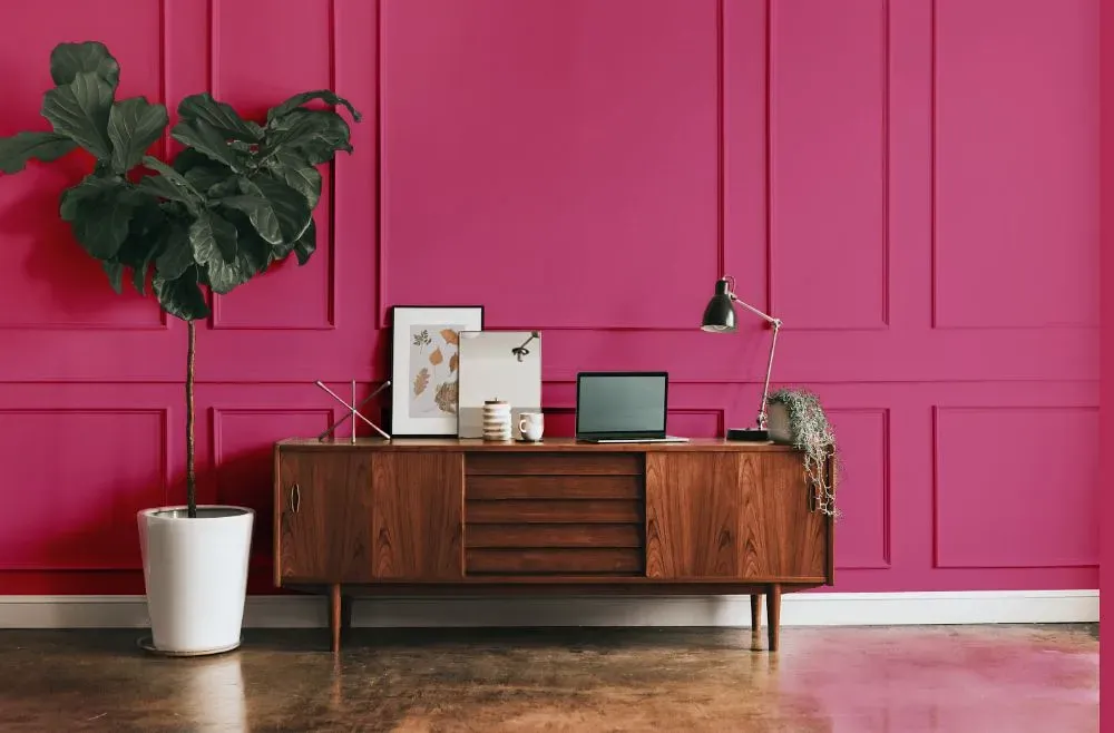 Benjamin Moore Razzle Dazzle modern interior