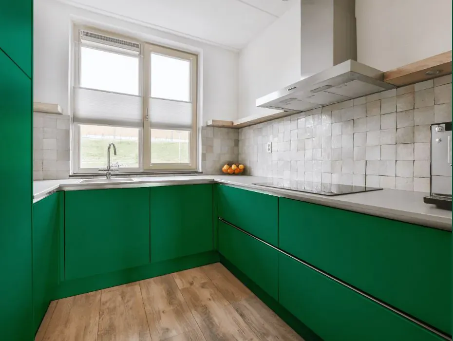 Benjamin Moore Reef Green small kitchen cabinets