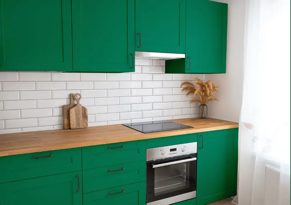 Benjamin Moore Reef Green kitchen cabinets