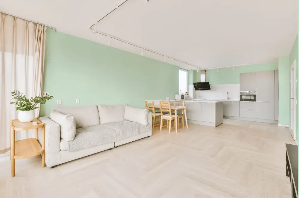 Benjamin Moore Reflection living room interior