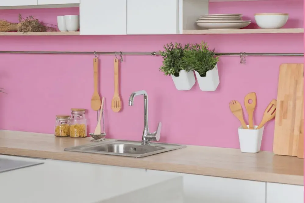 Benjamin Moore Rhododendron kitchen backsplash