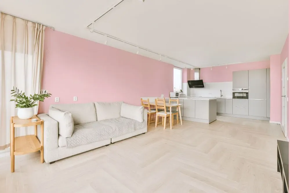 Benjamin Moore Ribbon Pink living room interior