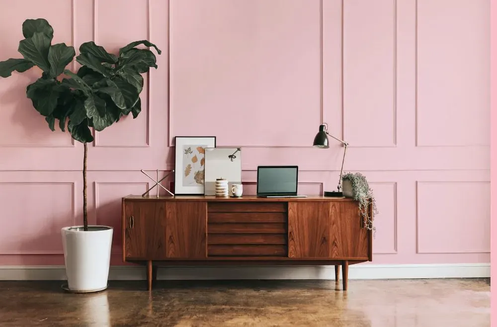 Benjamin Moore Ribbon Pink modern interior