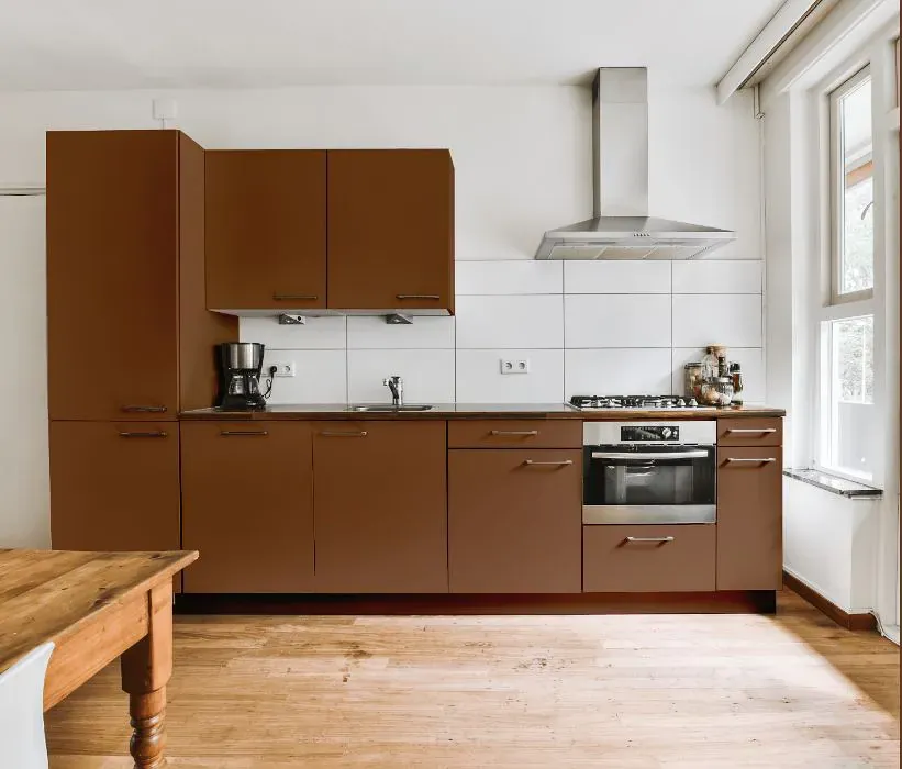 Benjamin Moore Rich Clay Brown kitchen cabinets