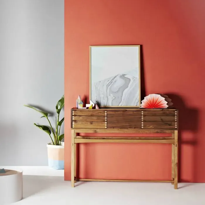 Benjamin Moore Rich Coral Wall Paint