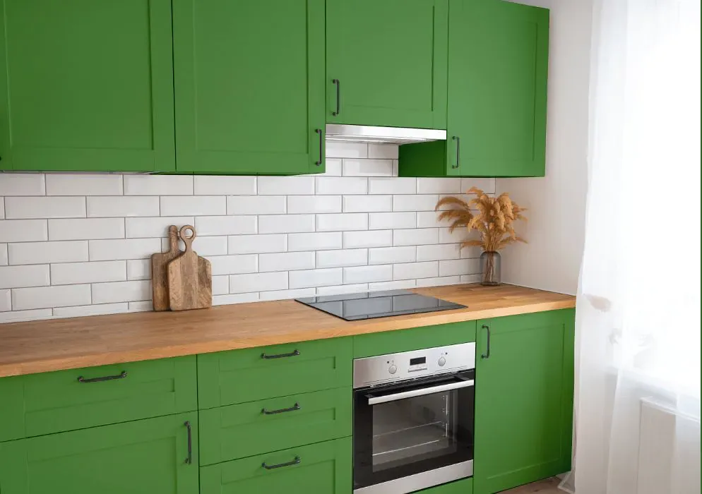 Benjamin Moore Richmond Green kitchen cabinets