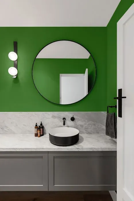 Benjamin Moore Richmond Green minimalist bathroom